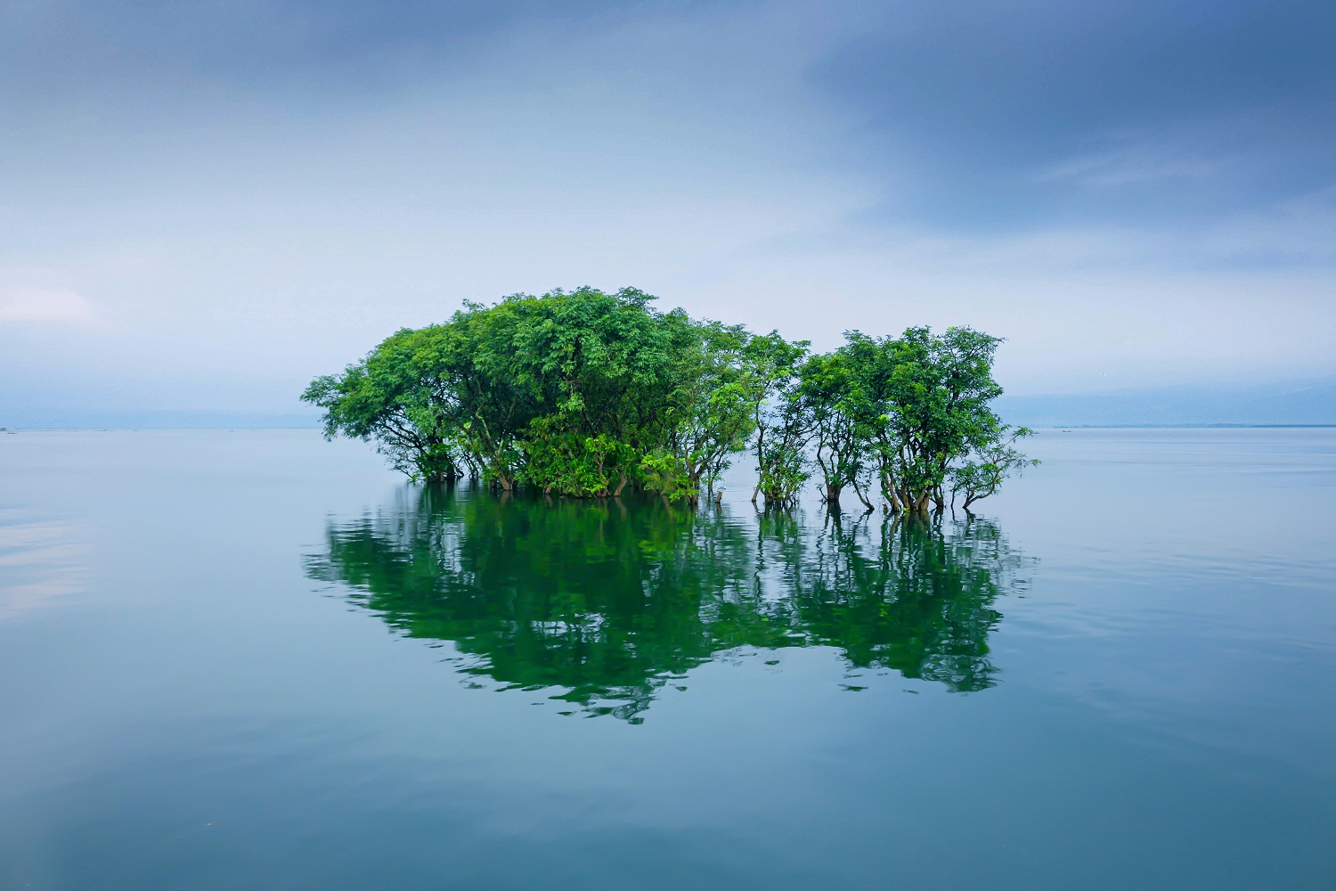 বাংলাদেশের কিছু চিত্র